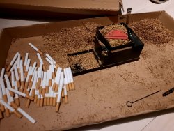 nielegalne papierosy leżące luzem na kartonie, wokół resztki krajanki tytoniu i nabijarka do gliz
