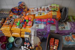 karma,  zabawki, środki do pielęgnacji i  inne rzeczy zakupione dla zwierząt, w ujęciu z bliska