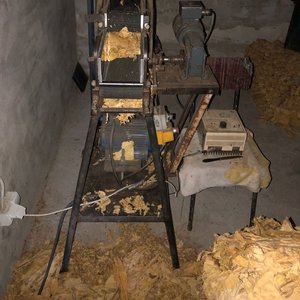 pomieszczenie piwnicy, maszyna do krojenia tytoniu, obok leżące liście tytoniu