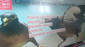 ekran na nim dwa ptaki i napis czym jest przemoc rówieśnicza