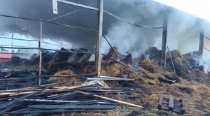 spalony budynek a w nim siano