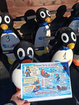 pingwiny do jazdy na łyżwach