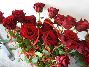 czerwone róże