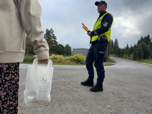 umundurowany policjant stojący przy drodze