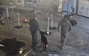 pirotechnik i przewodnik z psem ze straży granicznej przed nimi jadący robot z bagażem